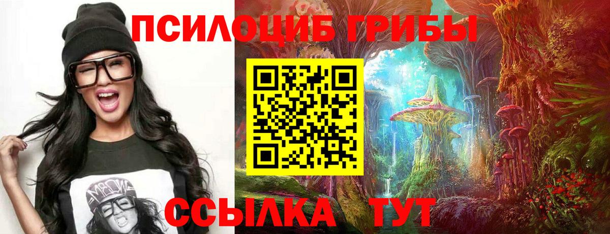 Балахна  Галлюциногенные грибы Magic Shrooms  где можно купить наркотик  Вход с VPN  Галлюциногенные грибы MAGIC MUSHROOMS 