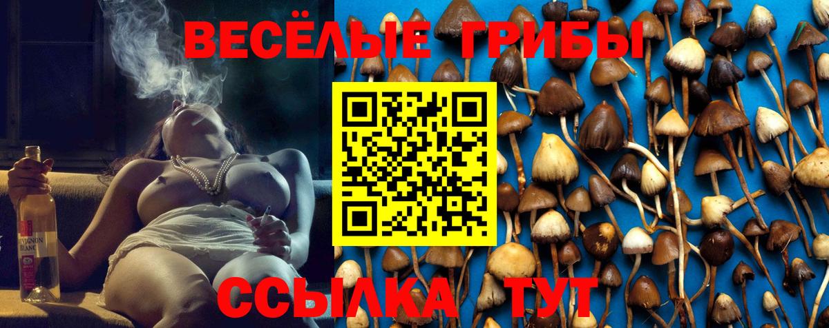 Галлюциногенные грибы Magic Shrooms Балахна